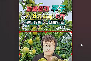 抖音无人直播带货(含防封、不实名开播、0粉开播技术)全网找不出第二家