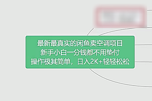 闲鱼风口项目实操手册