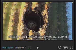抖音搞笑动物小世界拆解课