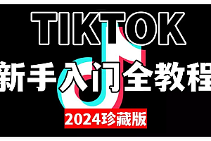 tiktok推广运营精品课