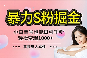单人单机日引千粉,变现1000+,S粉流量掘金计划攻略!