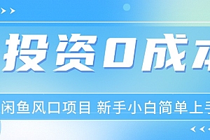 闲鱼最新赚钱项目指导