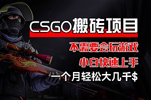 CSGO 装备搬砖项目,操作简单,不需要会玩游戏,小白也能快速上手,一个月轻松大几千