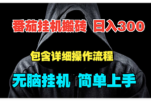 揭秘稳定的线上兼职平台,无脑操作每天赚300+