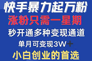 快手引流创业粉500+