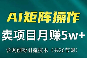 网创赛道,卖项目月赚10万+,含独家引流技术(共26节课)
